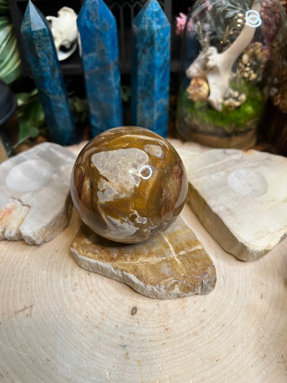 Petrified Wood Sphere Stand